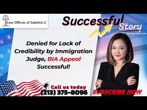 Successfully Appeal Immigration Judge Decision: Steps to Take