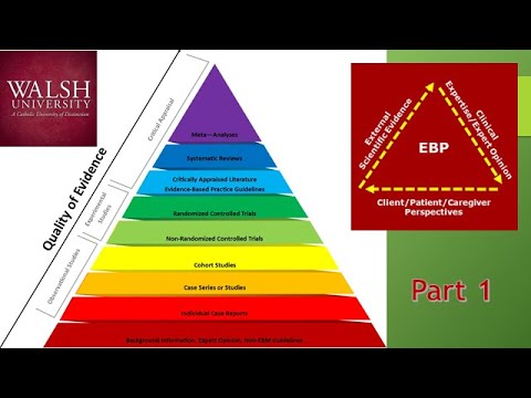 Evidence-Based Literature in Research and Practice