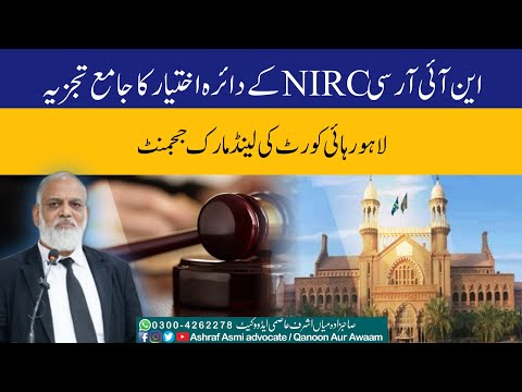 Comprehensive Analysis of Court Reports: Key Findings and Analysis