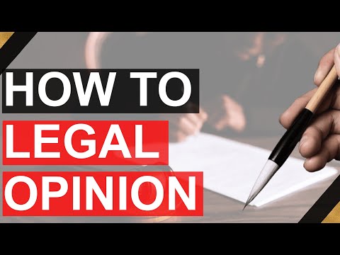 Comprehensive Legal Opinion Analysis and Insights