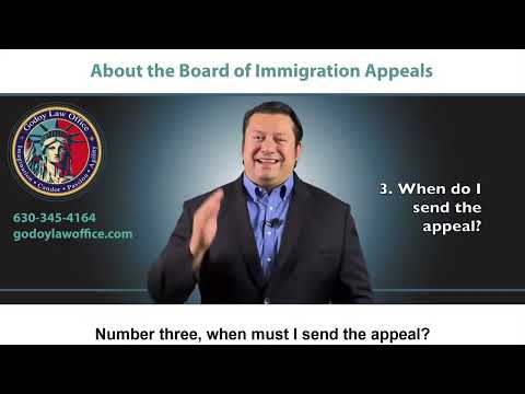 The Complete Guide to BIA Appeals: Everything You Need to Know