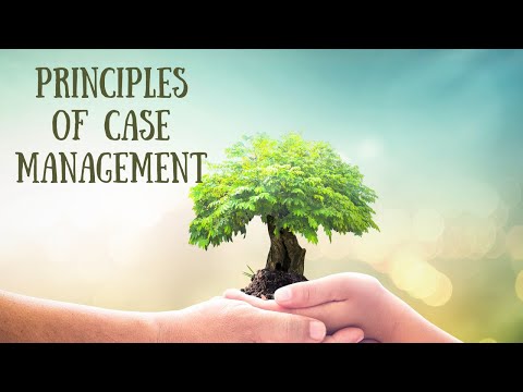 Comprehensive Docket Number Lookup Services for Efficient Case Management