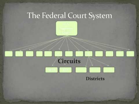 Understanding the Role and Functions of the 328th District Court