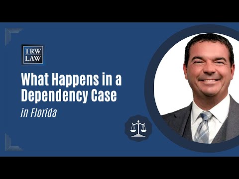 Comprehensive Support for Dependency Legal Matters