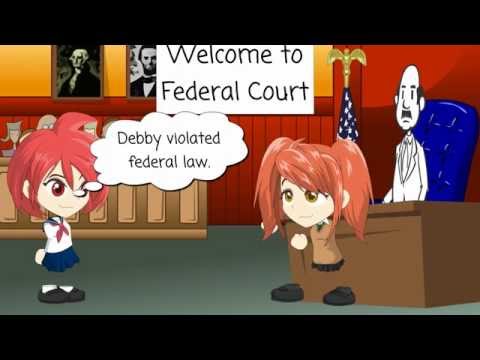 Federal Question Jurisdiction Explained: Key Concepts and Implications