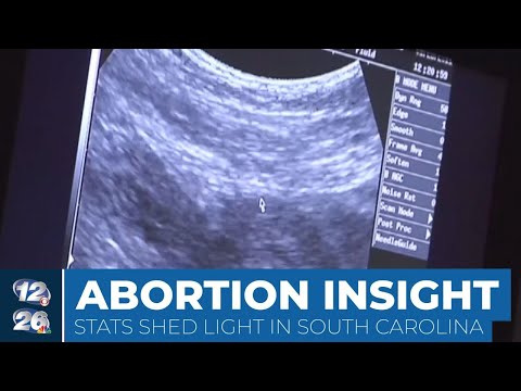 Insights into the Supreme Court's Abortion Ruling