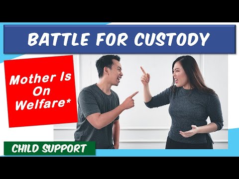 Navigating Custody Matters: Assistance and Support for Parents