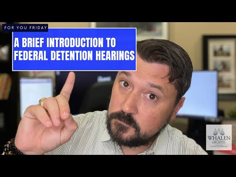 Comprehensive Overview of Detention Hearings and Their Implications