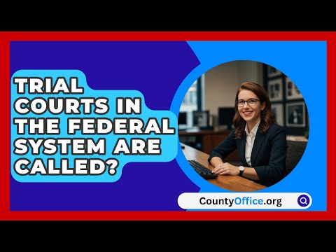 Understanding the Role of a Trial Court in the Federal System