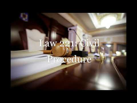 Complete Overview of the 221st District Court