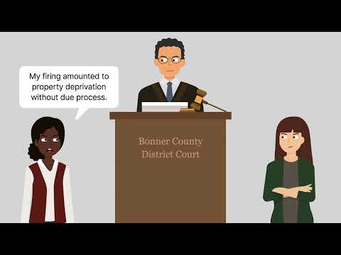 Interlocutory Appeal Overview and Key Insights