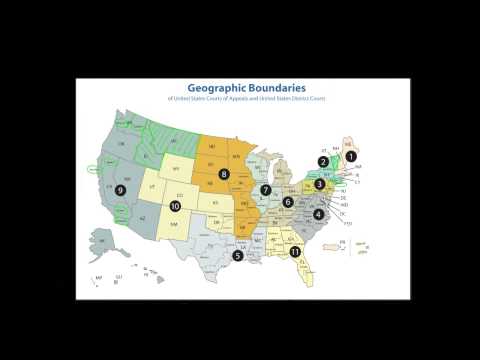 Understanding the Federal and State Court System: A Detailed Overview
