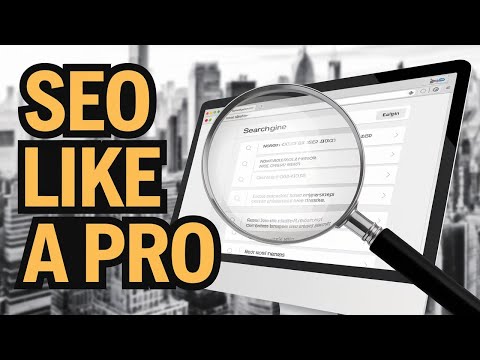 Optimizing Online Visibility for the 338th District Court