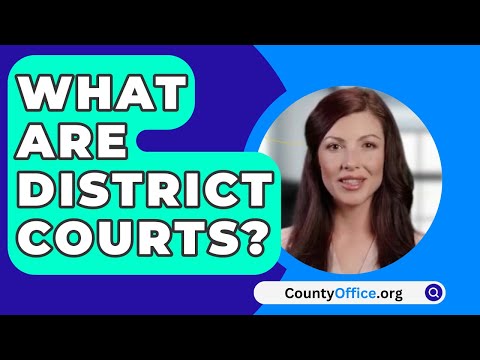 Comprehensive Overview of the 12th District Court