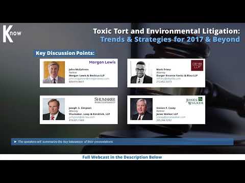 Key Strategies for Success in Environmental Law Litigation
