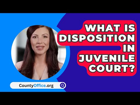 Dispositional Hearings in Juvenile Court: Key Processes and Outcomes
