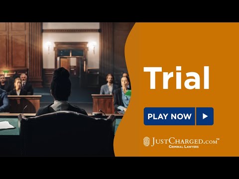 Experienced Criminal Trial Lawyer: Defending Your Rights with Skill and Tenacity