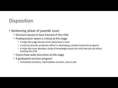 Understanding the Juvenile Court Appeals Process: Steps and Procedures