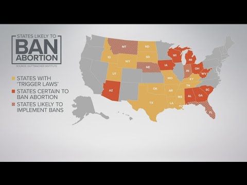 Uncovering the Leaked Roe v. Wade Document: What You Need to Know