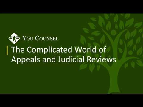 Understanding Judicial Review Appeal Process in Court of Appeal - A Comprehensive Overview