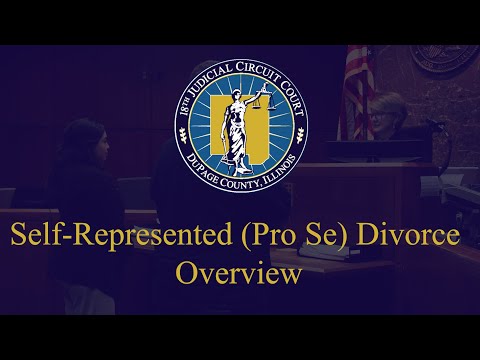 The 18th Judicial Circuit Court: Overview and Information