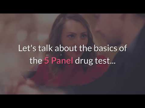 Key Stages of Drug Testing: What You Need to Know