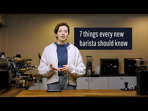Essential Barrister Brief: Everything You Need to Know