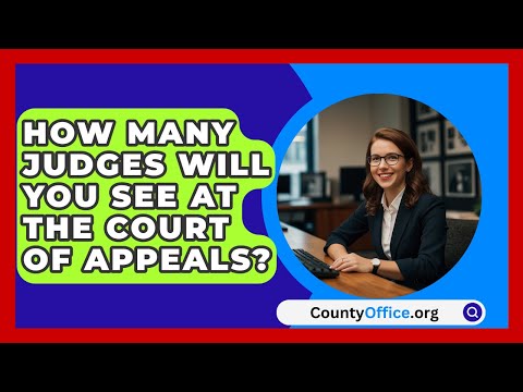 First Circuit Court Judges Overview and Insights