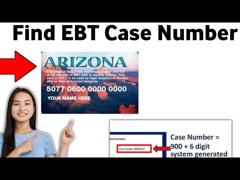 Manage Your EBT Case Effectively Online