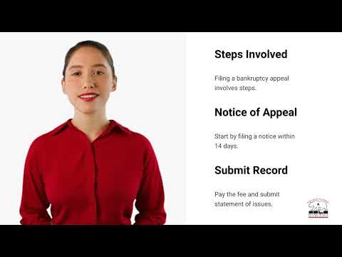 Understanding the Process of a Bankruptcy Appeal