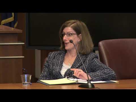 Judge Nancy Vaidik: Insights into Her Legal Career and Contributions