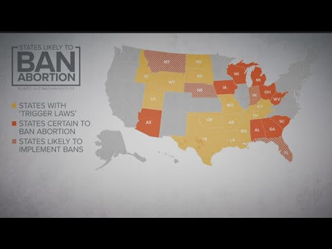 Roe v. Wade Supreme Court Decision of 2022: Impact and Implications
