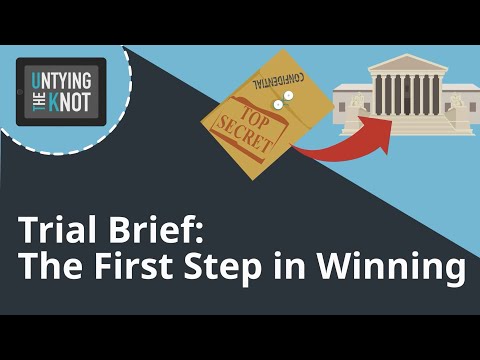 Brief Examples for Court Proceedings: An Overview