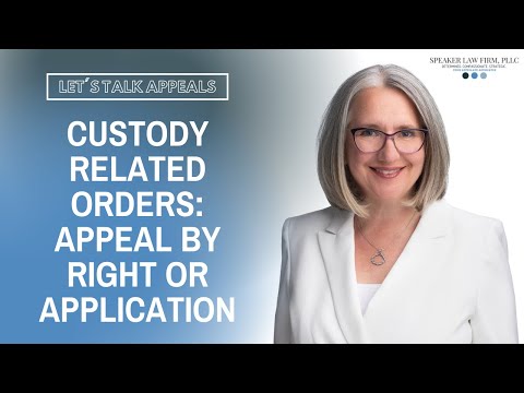 Expert Family Law Appeals Attorney