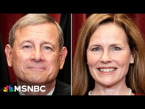 In-Depth Analysis of Amy Supreme Court Decision