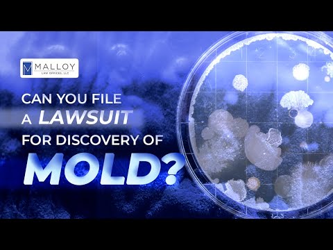 Legal Recourse for Black Mold Contamination Injuries
