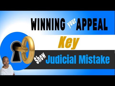 Comprehensive Guide to Crafting an Effective 11th Circuit Appellate Brief