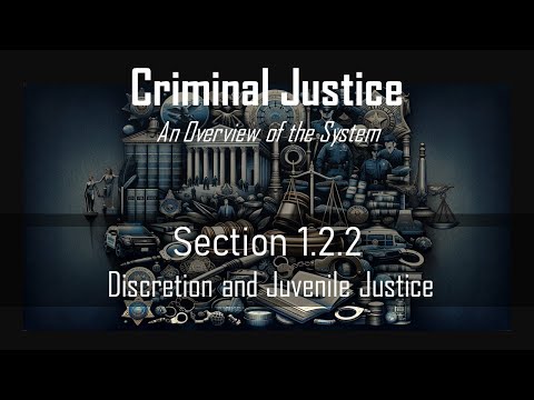Navigating Juvenile Criminal Charges and Their Consequences