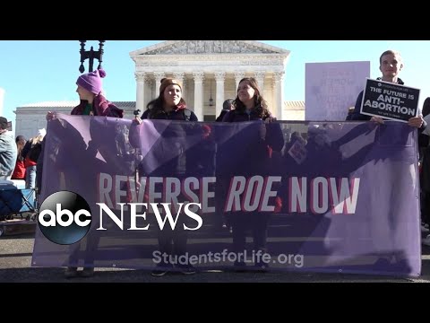 Implications of the Leaked Draft on Roe v. Wade Legislation
