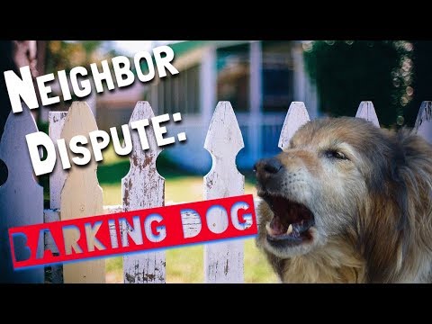 Effective Legal Solutions for Neighbor Disputes