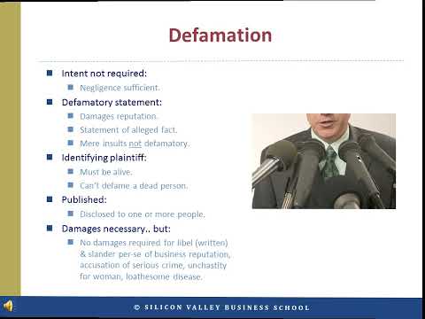 Key Considerations in a Libel Lawsuit