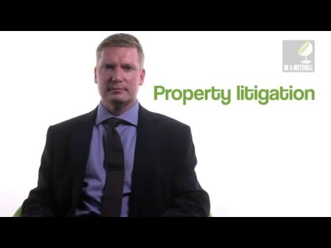 Land Litigation Cases: Key Insights and Trends in Property Disputes