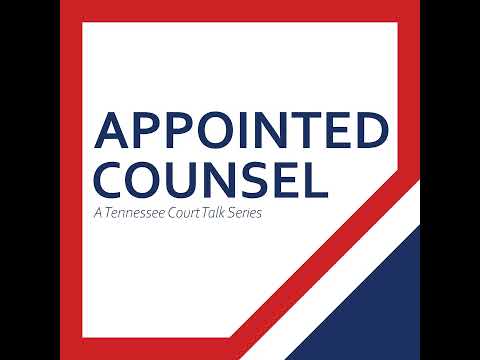 Comprehensive Insights on Juvenile Court Appointed Attorneys