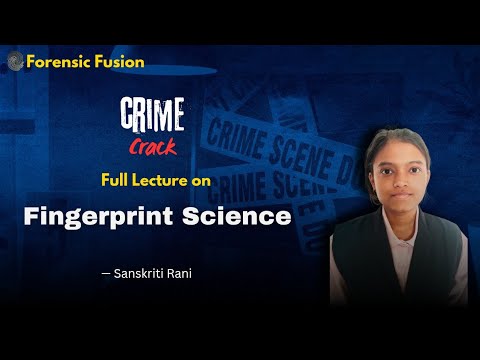 Comprehensive Overview of Latent Fingerprint Classification Systems