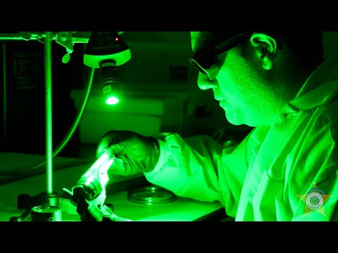 Optimizing Latent Print Analysis for Forensic Investigations