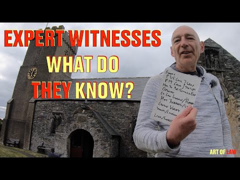 Importance of Expert Witnesses in Legal Proceedings