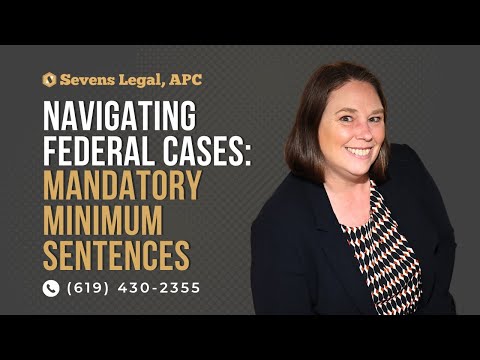 Federal Case Lawyers: Expert Representation for Complex Legal Matters