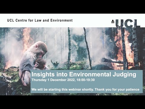 Insights into the Role of the Supreme Court Leader