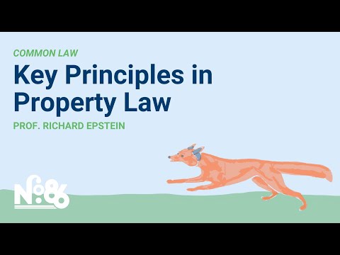 Principles of Possession in Property Law